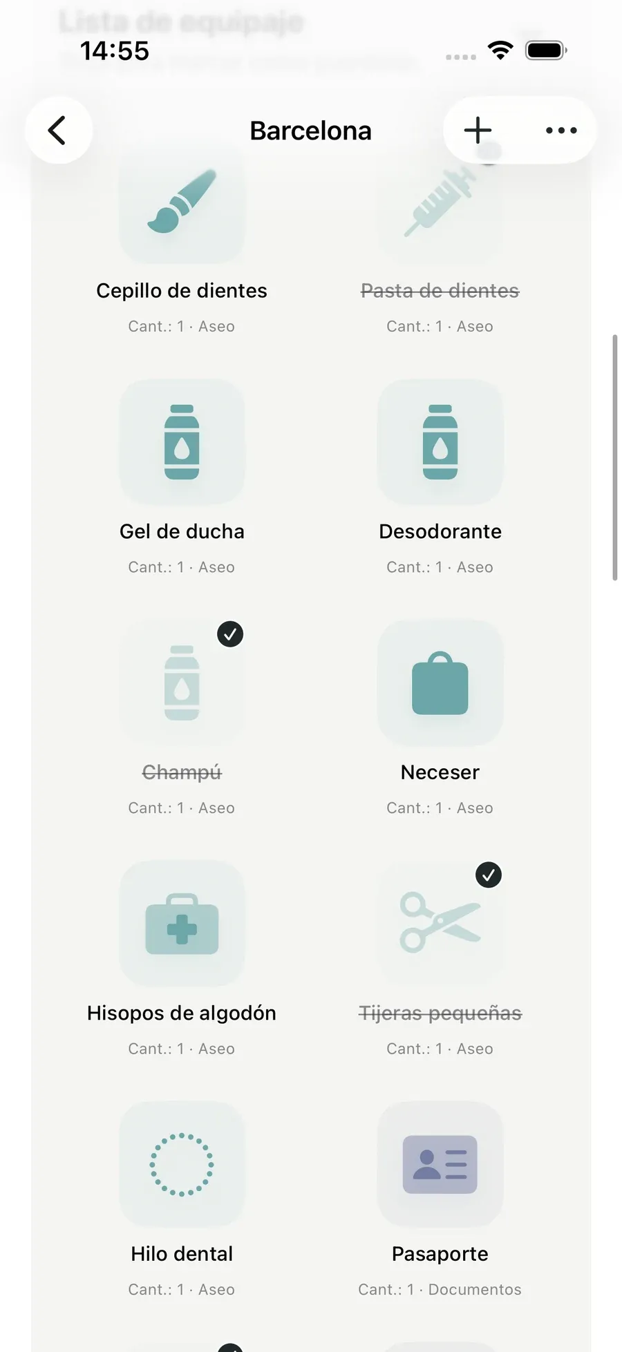 Lista de equipaje — Packmio