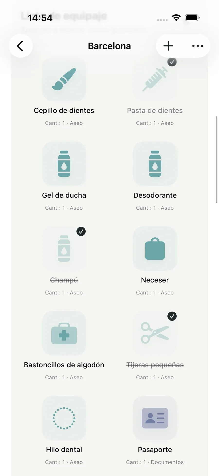 Lista de equipaje — Packmio