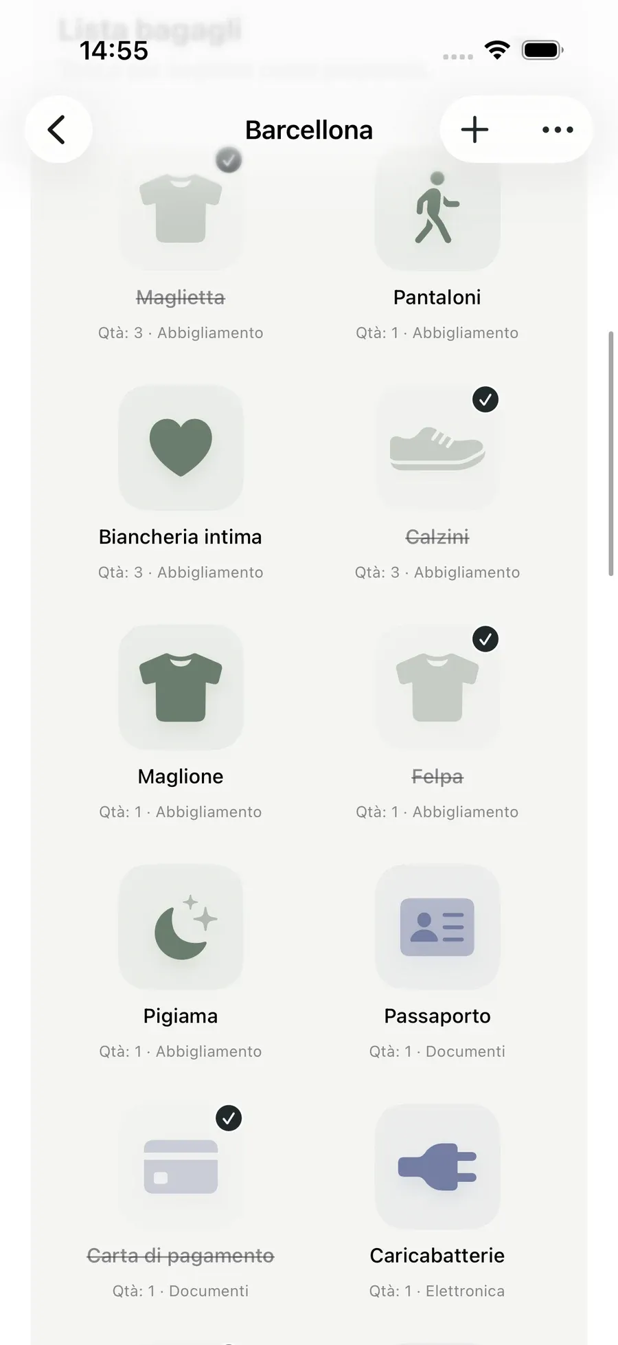 Lista bagagli — Packmio