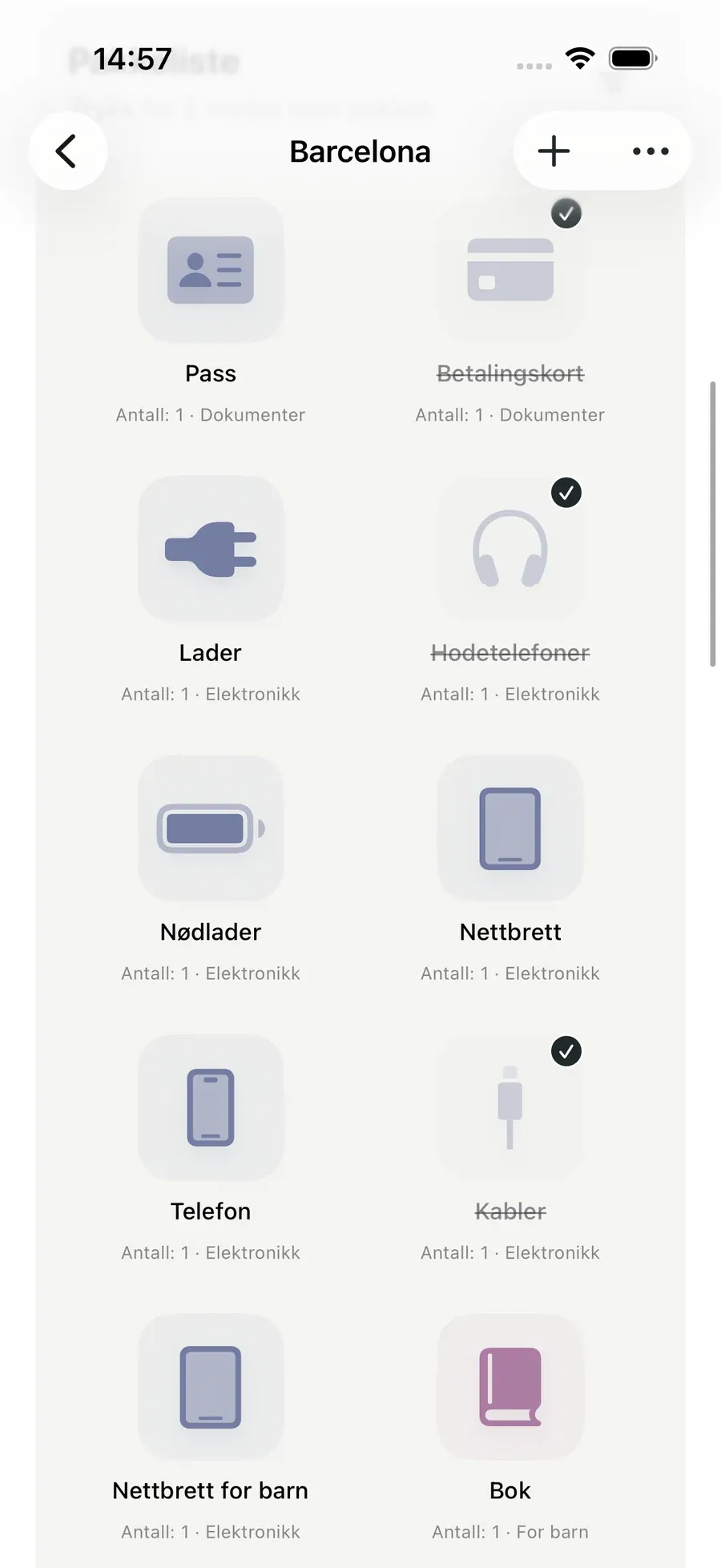 Pakkeliste — Packmio